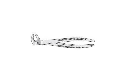 Forceps Extracting 150mm long 35mm wide