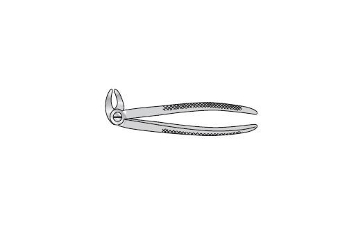 Forceps Extracting 170mm long 4mm wide