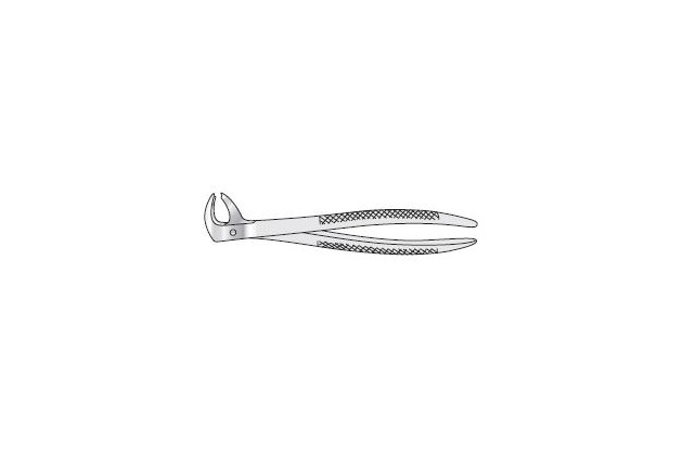 Forceps Extracting 150mm long 35mm wide