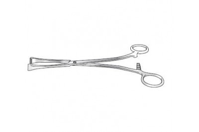 Stomach Holding Forceps