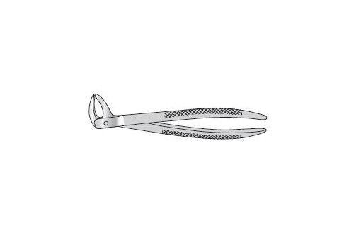 Forceps Extracting 150mm long 4mm wide
