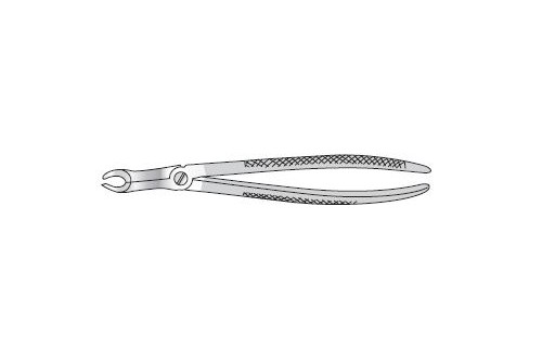 Forceps Extracting 185mm long 7mm wide