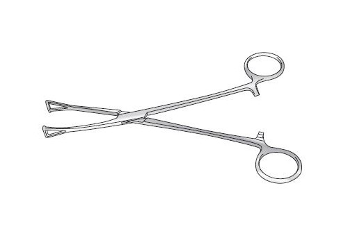 DUVAL LUNG GRASPING FORCEPS