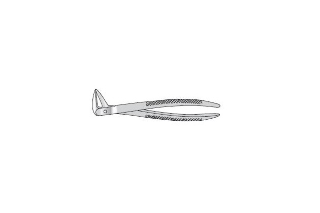 Forceps Extracting 180mm long 5mm wide