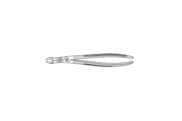 Forceps Extracting 185mm long 7mm wide